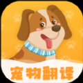 波奇猫狗交流器安卓版手机软件下载-波奇猫狗交流器无广告版app下载