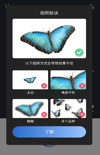 昆虫识别图鉴扫一扫软件安卓免费版下载-昆虫识别图鉴扫一扫安卓高级版下载