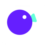 拍鸭官网版app下载-拍鸭免费版下载安装