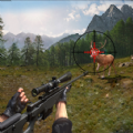 荒野狩猎求生最新游戏下载-荒野狩猎求生安卓版下载
