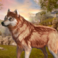 野狼动物模拟器最新手游下载-野狼动物模拟器安卓版手游下载