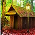 神秘森林之家逃生手游下载安装-神秘森林之家逃生最新免费版游戏下载