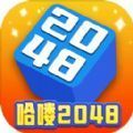 哈喽2048免费中文手游下载-哈喽2048手游免费下载