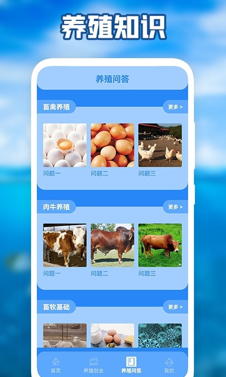 养猪场之星软件安卓免费版下载-养猪场之星安卓高级版下载