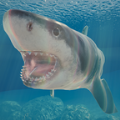 鲨鱼海洋游戏下载-鲨鱼海洋最新版手游 V1.1.0
