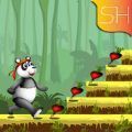 熊猫跳跃跑酷(panda jump run)手游下载-熊猫跳跃跑酷(panda jump run)游戏免费下载v6.0