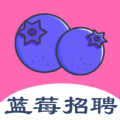 蓝莓招聘官方版下载-蓝莓招聘app下载1.0.0