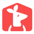 袋鼠就业app官方下载最新版-袋鼠就业手机版下载1.0.0