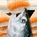 鲑鱼吃寿司小游戏下载-鲑鱼吃寿司小游戏官方安卓版v1.18