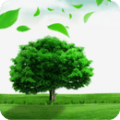牛气森林安卓版下载-牛气森林手机下载appv1.0.0